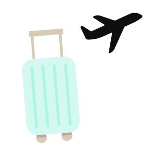 suitcase and plane